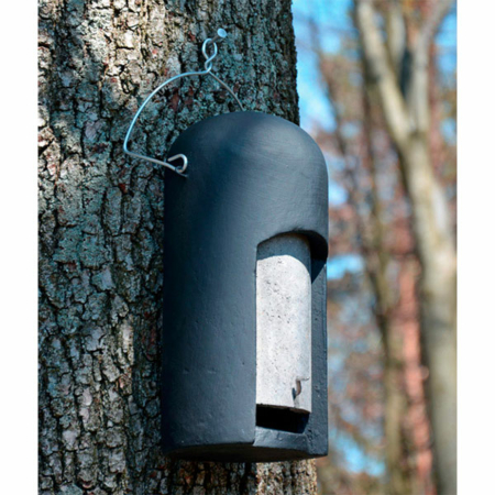 2FN Caja nido especial para murciélagos especial bosque