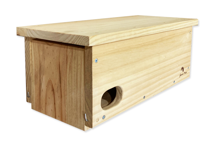 Caja nido para vencejo