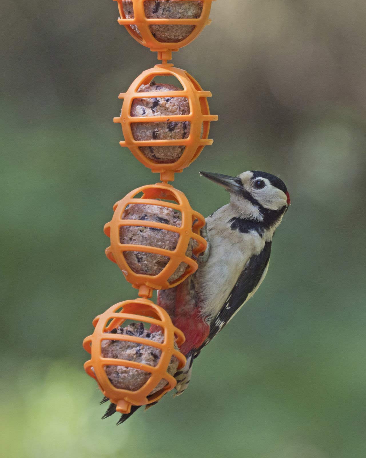 Comedouros De Sebo Para Aves