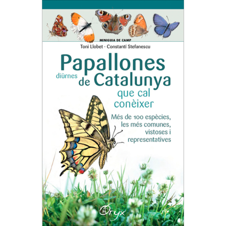 Papallones diürnes de Catalunya