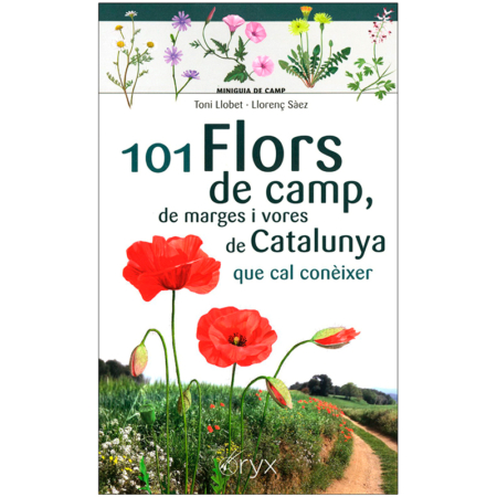 101 Flors de camp, vores i marges