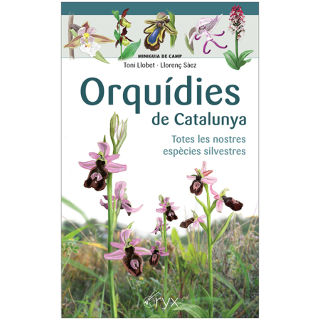 Orquídies de Catalunya