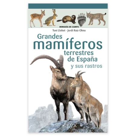 Grandes mamíferos de España
