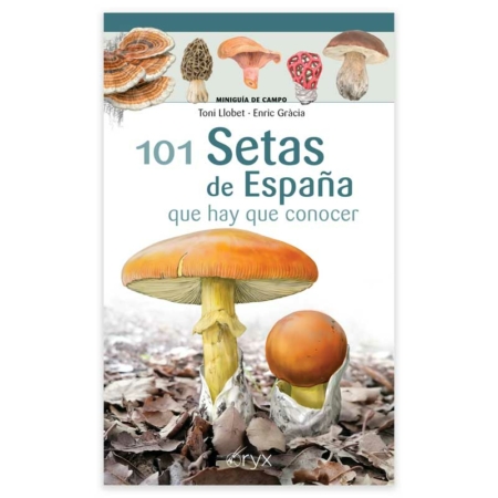 101 Setas de España