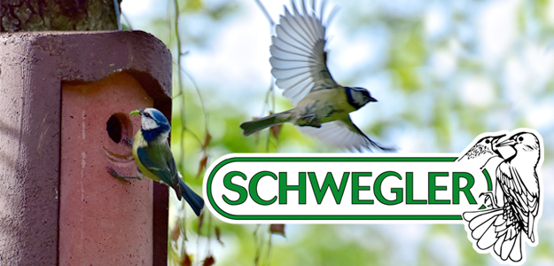 Schwegler - Cajas nido de cemento-madera