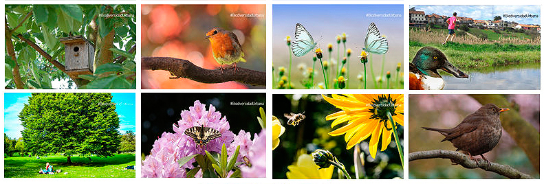 biodiversidad-urbana-1-seo