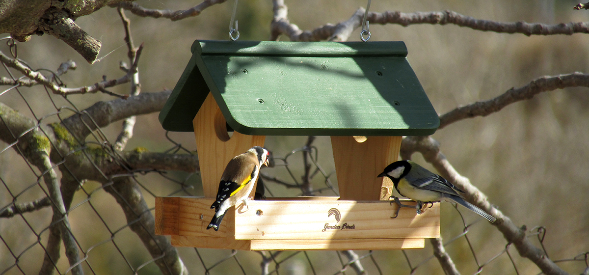 Comedero para aves cabaña