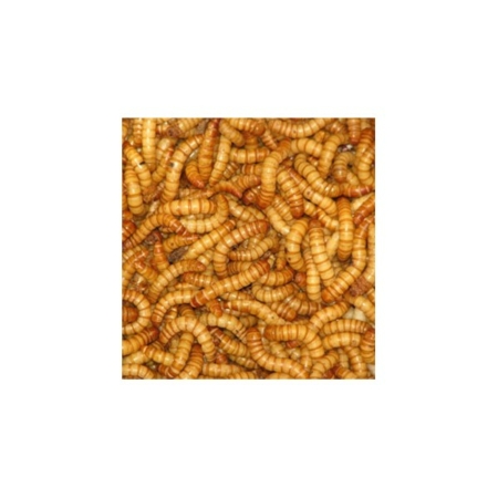 Larvas deshidratadas 100g